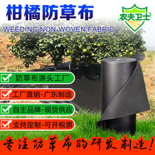 柑橘防草布地膜除草无纺布农用生态果园透水透气防草地布工厂批发