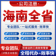 海口三亚儋州文昌琼海公司注册营业执照代理记账注销变更万宁东方