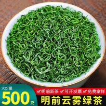 茶叶绿茶豆香日照充足新茶明前炒青散装高山云雾绿茶500g批发市场