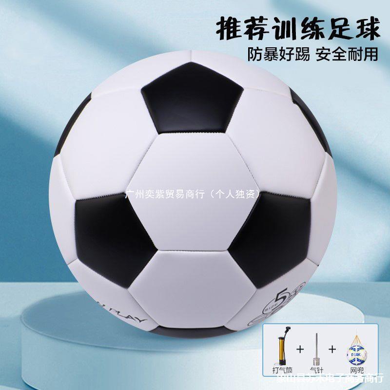 football children primary school entrance examination special ball no. 4 5 3 no. 4 children‘s small training adult competition