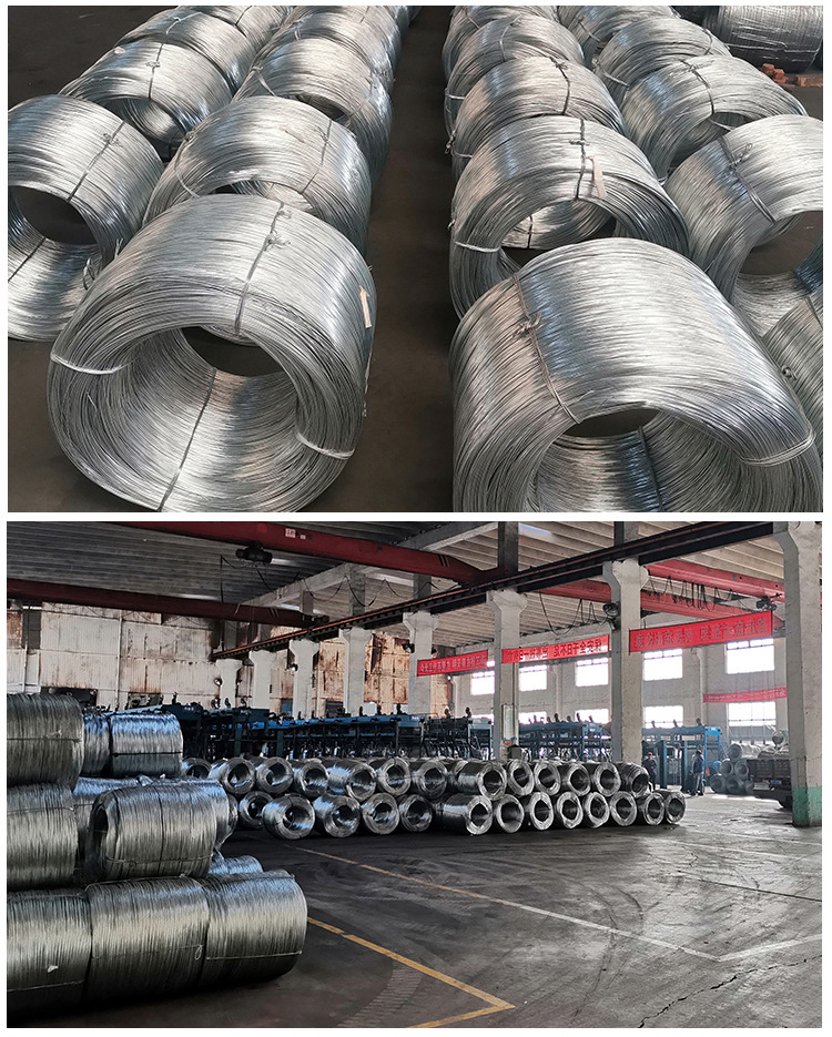 镀锌丝_17.jpg