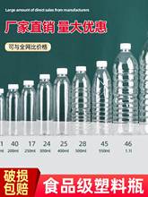 一斤装酒瓶酒壶净水瓶一次性矿泉水空瓶 500l塑跨境代发