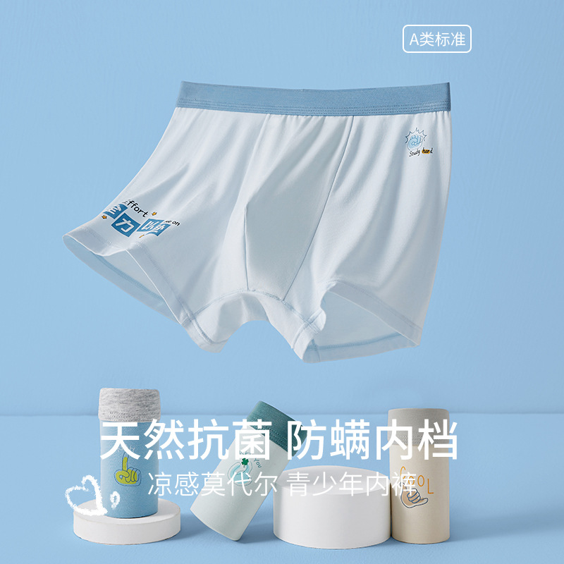 青少年内裤初中高中学生莫代尔男士四角裤2024新款大童中腰平角裤