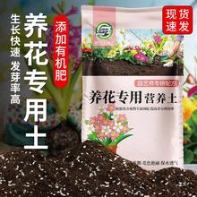 花土盆栽花卉种花的营养土养花通用家用植物土壤种植泥土