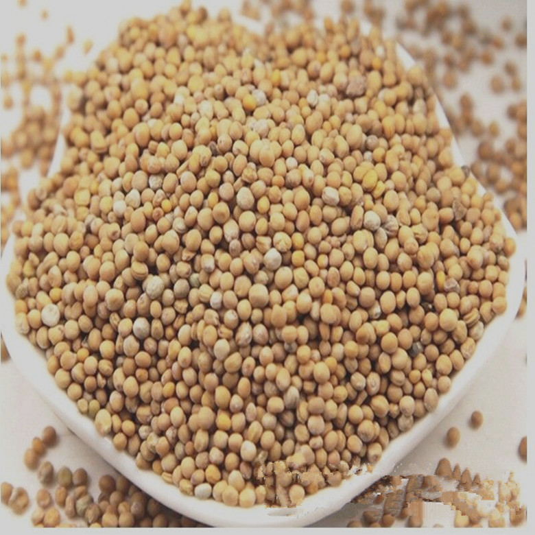 野生正品白芥子白介子辣菜子芥菜子中药材炒白芥籽泡茶一公斤