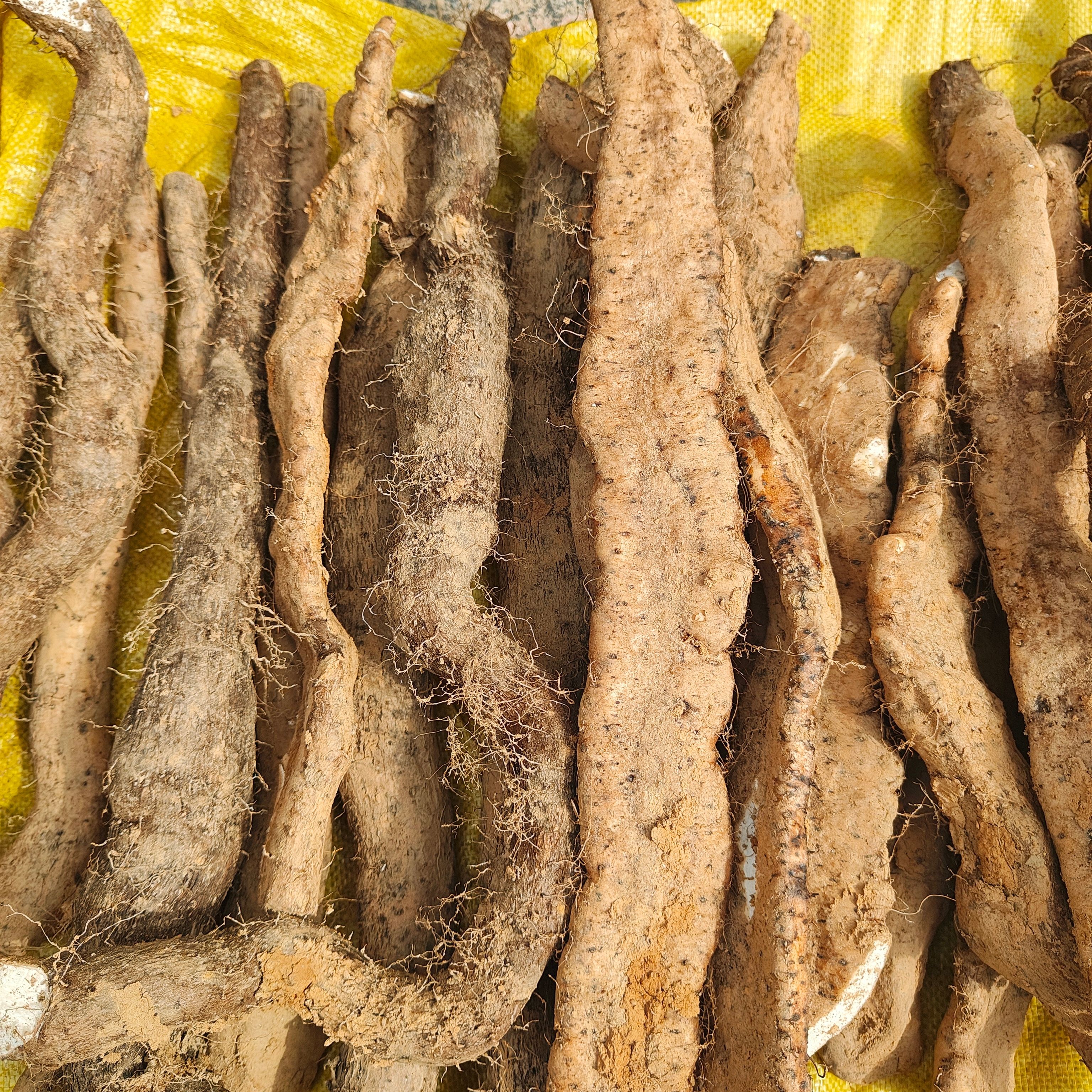 f广西深山野生山药新鲜带泥清香粉糯老野山薯孕妇老人小孩食用包