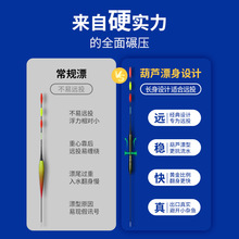 福翼滑漂浮漂远投大物鲢鳙夜光漂日夜两用变色矶竿钓路滑鱼漂