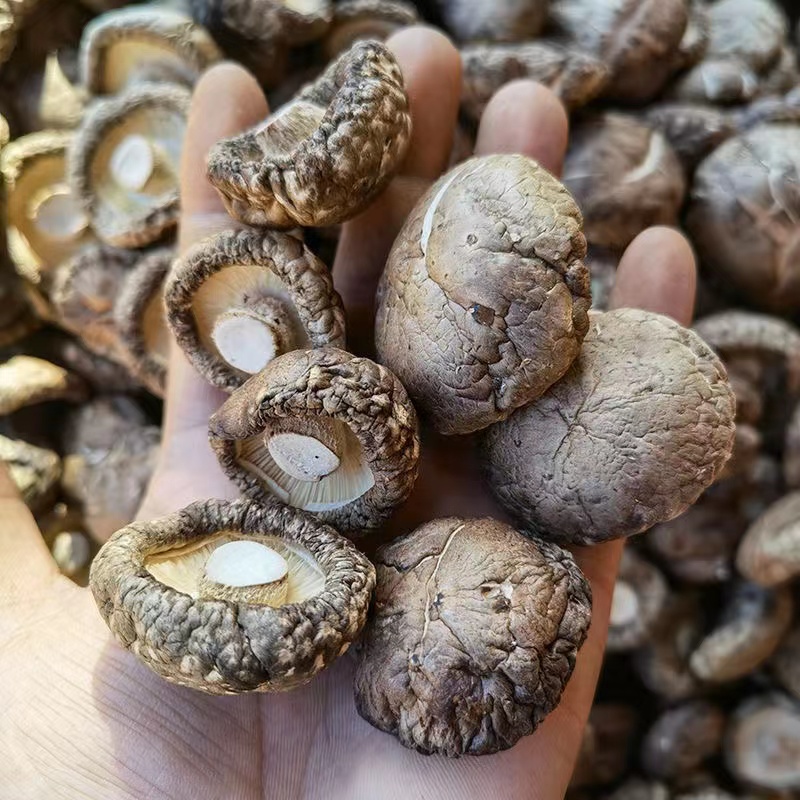 无干燥剂5斤散装包邮农家干香菇干货500g营养菌菇小蘑菇商用花菇