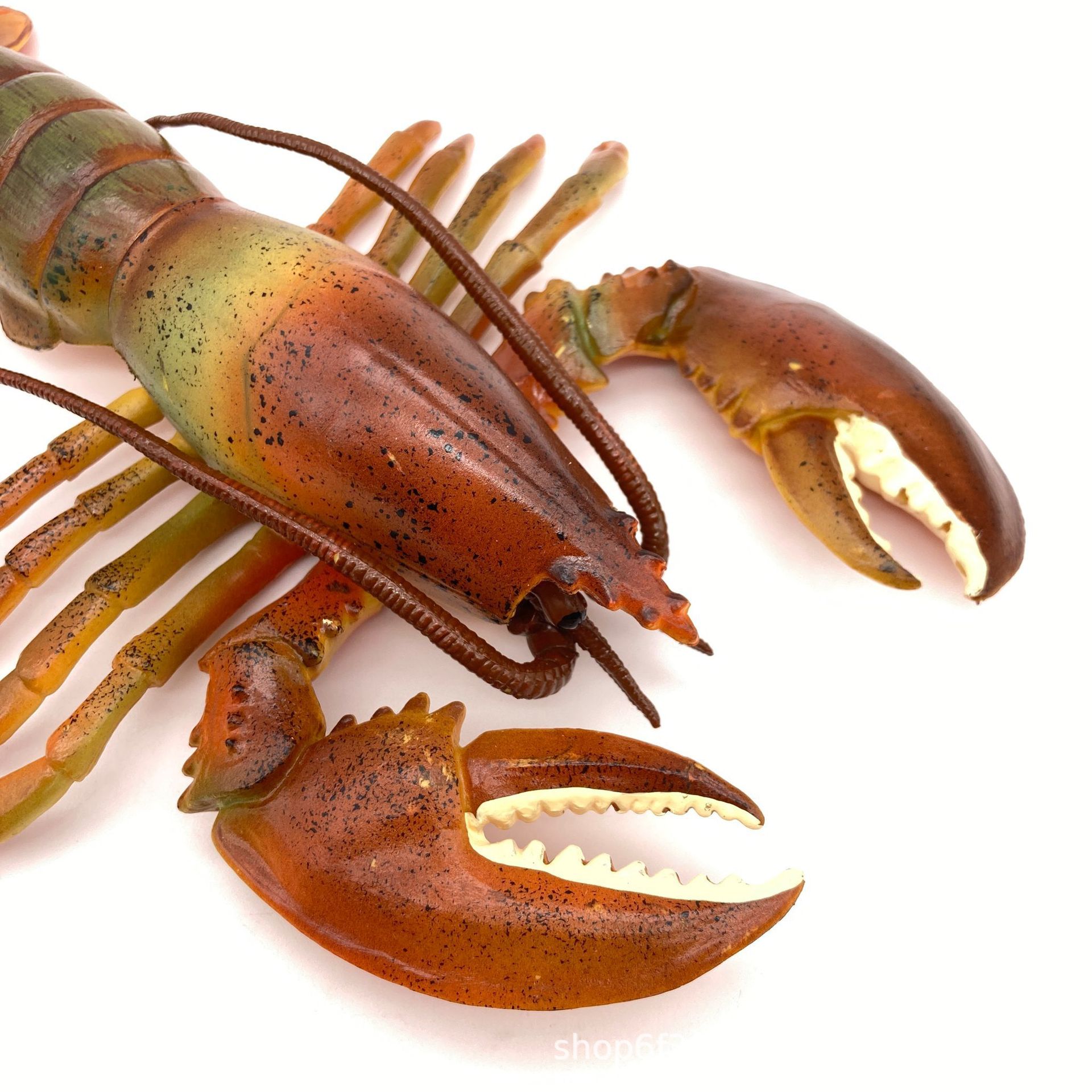 仿真实心海洋生物龙虾玩具模型静态澳洲龙虾波士顿大龙虾模型摆件