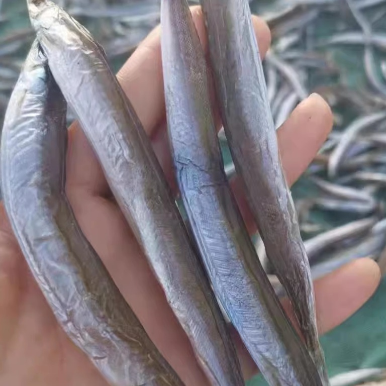 东港海鲜水产品干货深海银鱼干小青鱼干野生油滚子鱼干一斤包邮