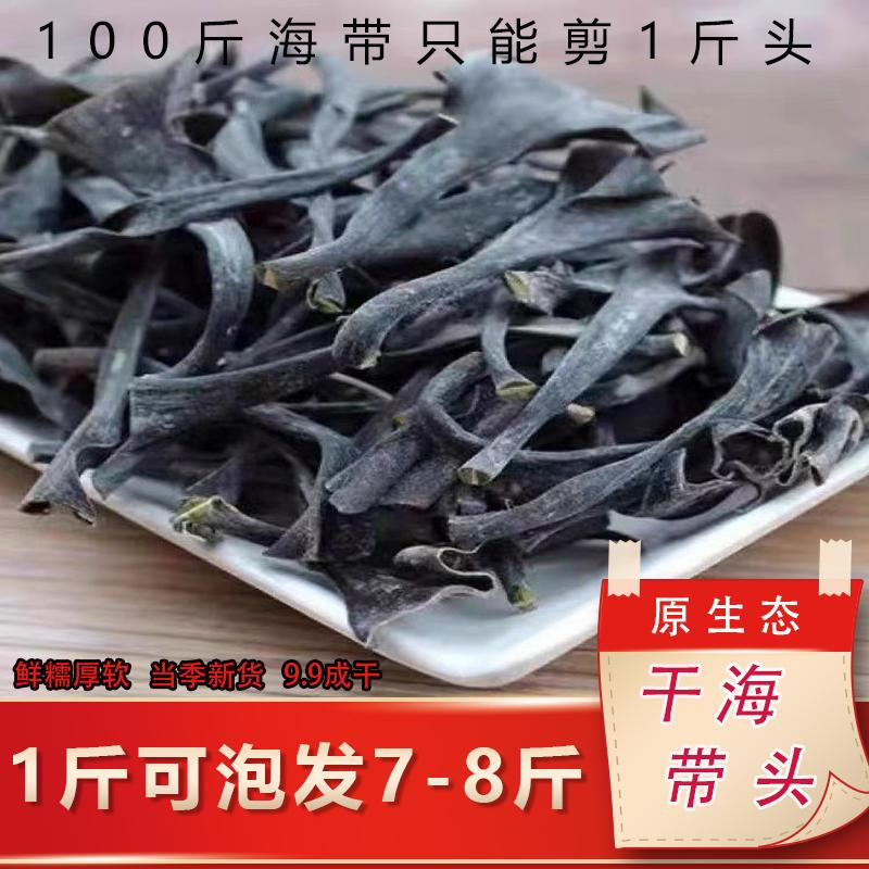 福建霞浦海带头干货厚实软糯海带根特厚海带梗新货海带丝头蒂批发