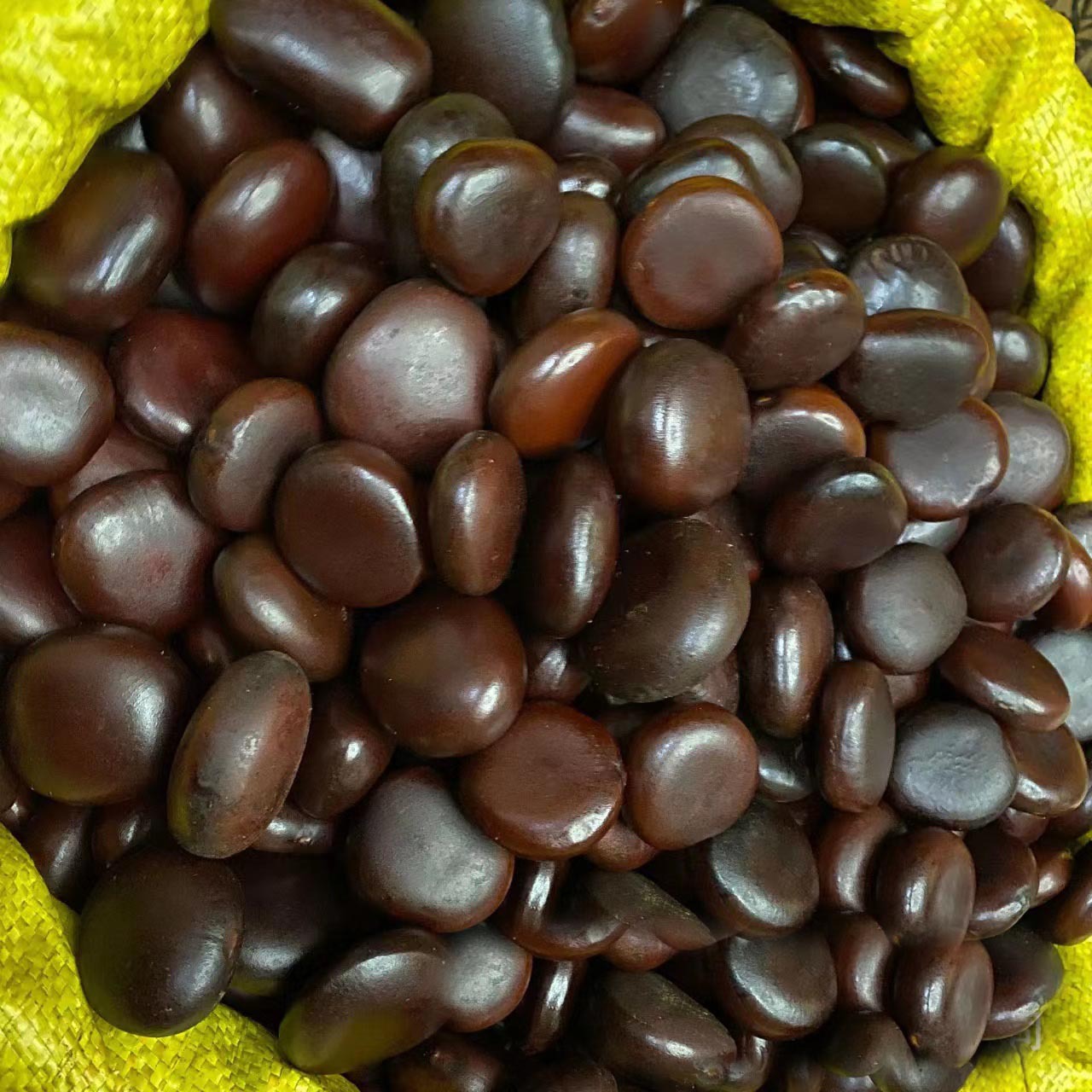 云南木腰子-云南木腰子厂家,品牌,图片,热帖-阿里巴巴