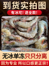 【一件代发】海水大虾鲜活海鲜超大青岛海虾冷冻白虾冻虾商用