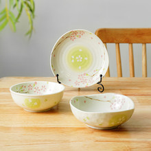 美浓烧（Mino Yaki）日本进口家用陶瓷钵简约复古餐盘