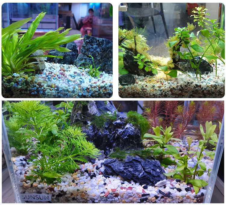 菲尔雨花石鱼缸底砂水族箱造景小石头装饰彩色石子五花石龟缸缸