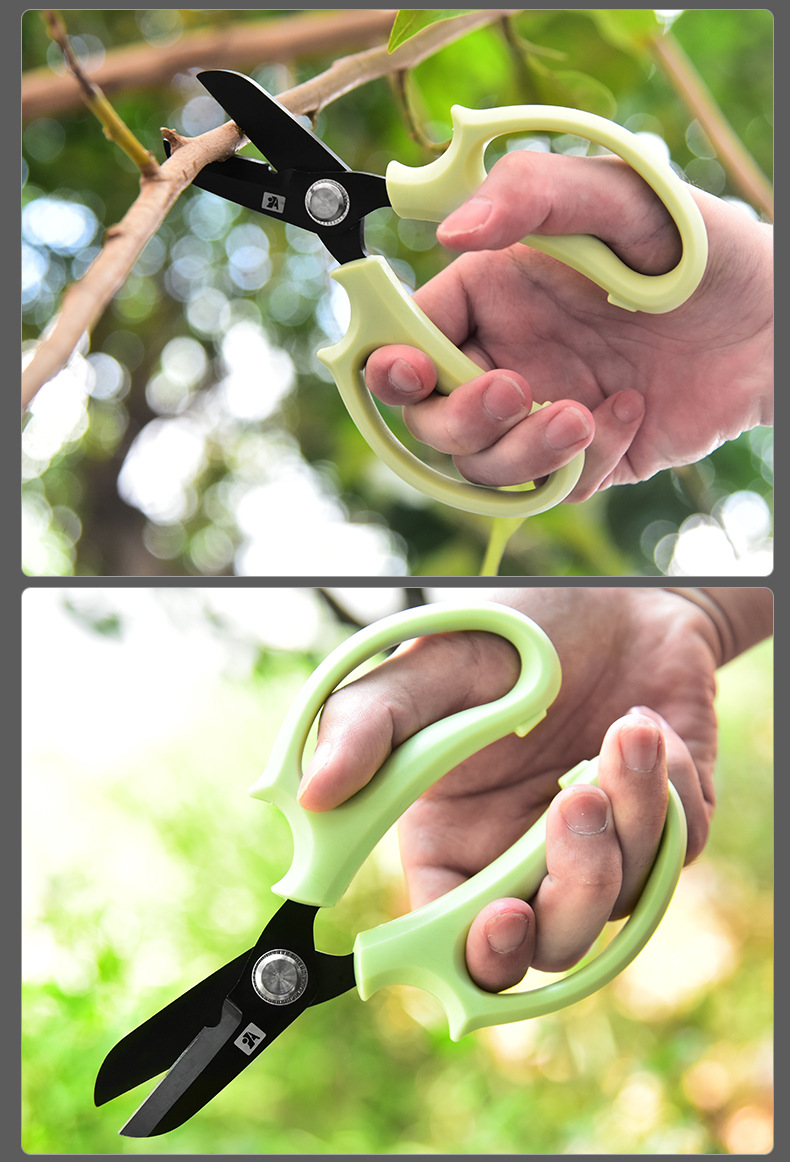 园艺剪 新款园艺果枝剪花艺剪 树枝园林剪刀 手动修枝剪刀 批发