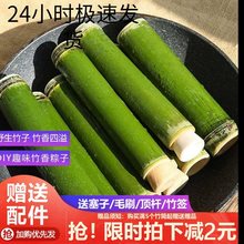 纯绿色天然竹子筒粽子模具家用商用摆摊新鲜竹筒饭6月1号售完