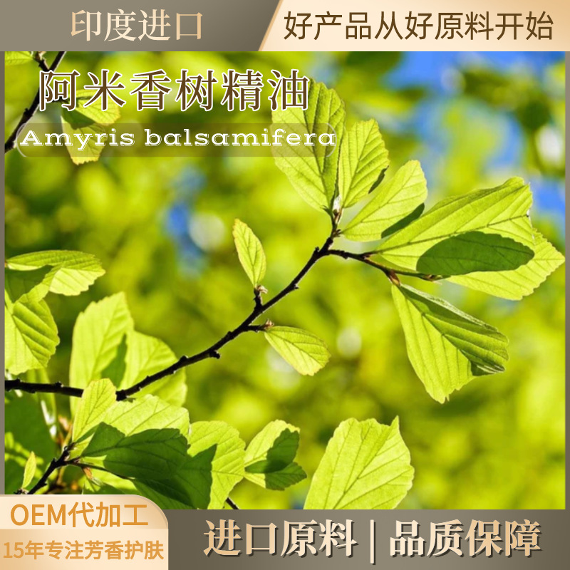 阿米香树精油印度进口精油芳疗面部精华保湿香氛单方精油原料批发