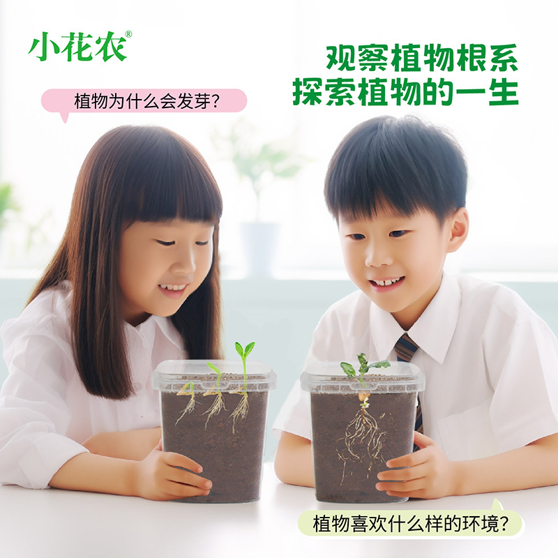 Kindergarten Elementary School Children's Plant Growth Observation Box Baby Planting Educational Science and Education Toys Fruit and Vegetable Flowers