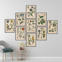 跨境亚马逊复古植物挂画 北欧风Retro抽象手稿花卉卧室客厅帆布画