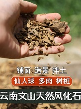 风化石仙人球兰花石斛多肉生根营养土种桩风化土铺面透气保湿