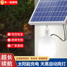 新款太阳能户外灯家用庭院灯LED照明灯太阳能球泡灯分体太阳能灯