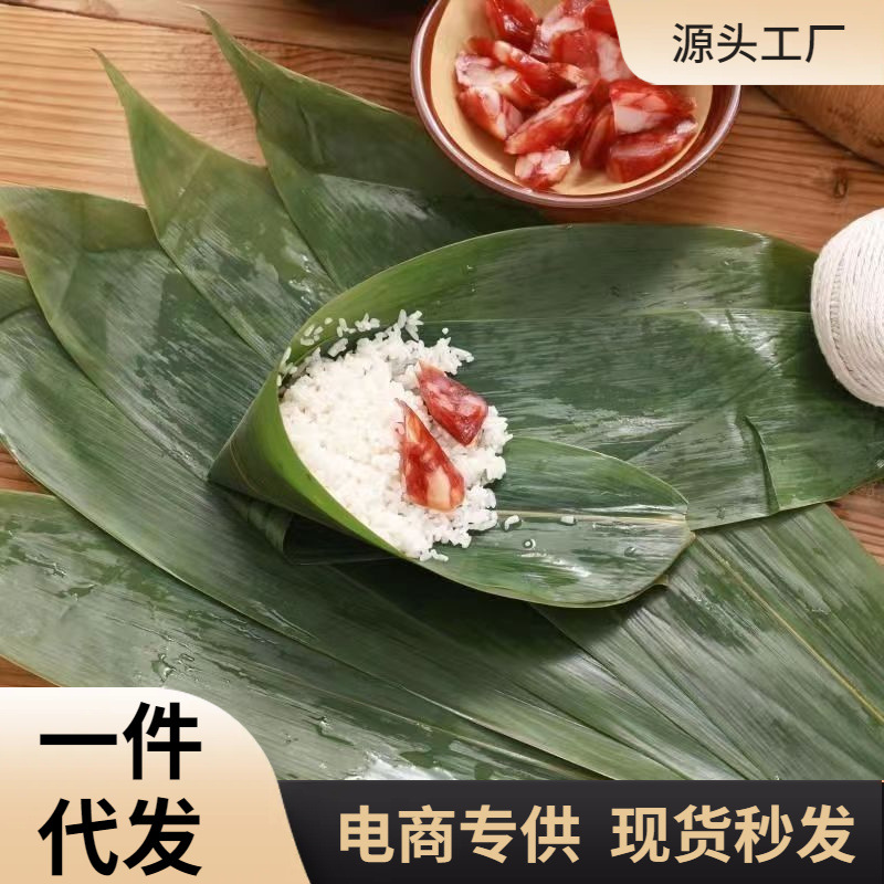 粽叶湿粽叶端午鲜粽子叶大号箬竹叶家用大棕叶端午节礼品厂家代发
