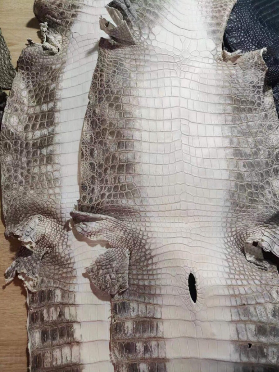 喜马拉雅白鳄鱼皮真皮大张70公分宽整张尼罗鳄鱼皮批发供手工皮包