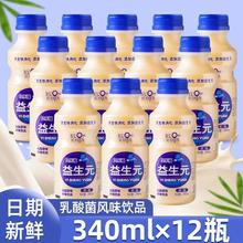 益生元乳酸菌风味牛奶饮品340ml*12瓶整箱批特价营养早餐酸奶饮料