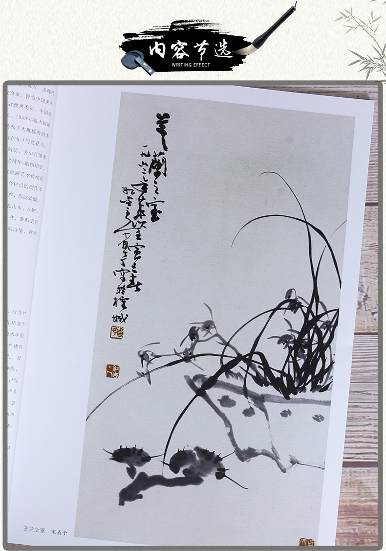 8开正版宋省予林金定写意兰花全彩色国画花卉花鸟画书籍图谱画集