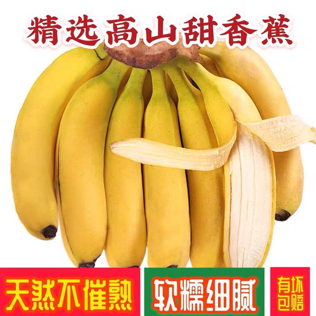 香蕉云南新鲜当季水果应季芭蕉甜蕉大蕉整箱青果发货一件代发混批