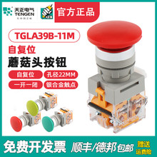 TENGEN天正电气TGLA39B/38-11M按钮蘑菇头自复位红绿点动银点22MM