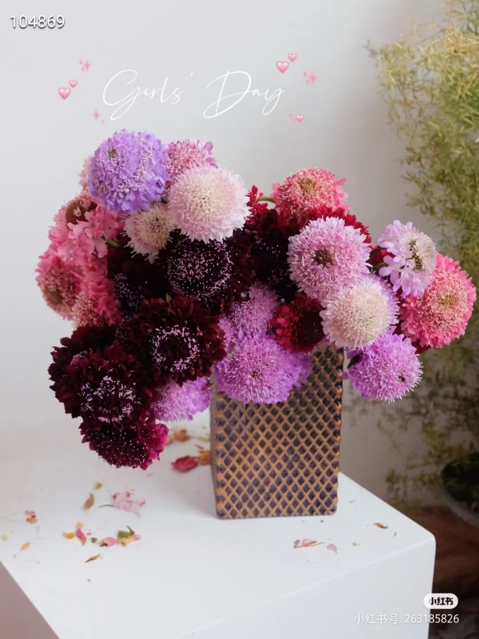 松虫草鲜切花云南鲜花批发基地直发直批产地直销红色各种色松虫草