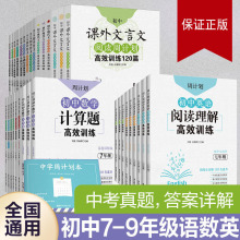 周计划初中七八九年级数学计算几何代数语文文言文现代文专项训练