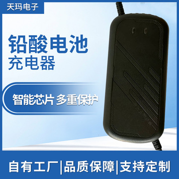 批发电瓶车电动车充电器48v60v72v12ah20ah自动关机-阿里巴巴