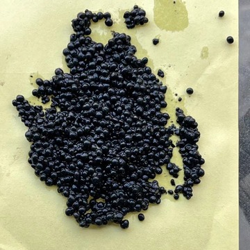 厌氧颗粒污泥 活性污泥批发