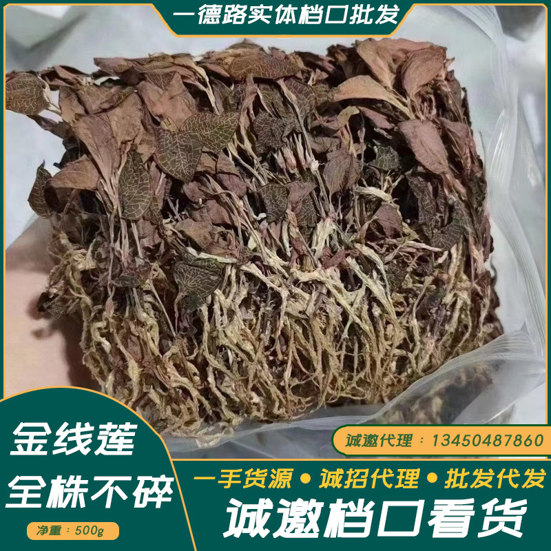 产地直销福建红霞金线莲干品养生茶整株不夹碎金线莲可装礼盒