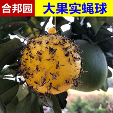 跨境外贸亚马逊果树防虫诱蝇球柑橘实蝇诱捕球粘虫球诱虫球防虫球