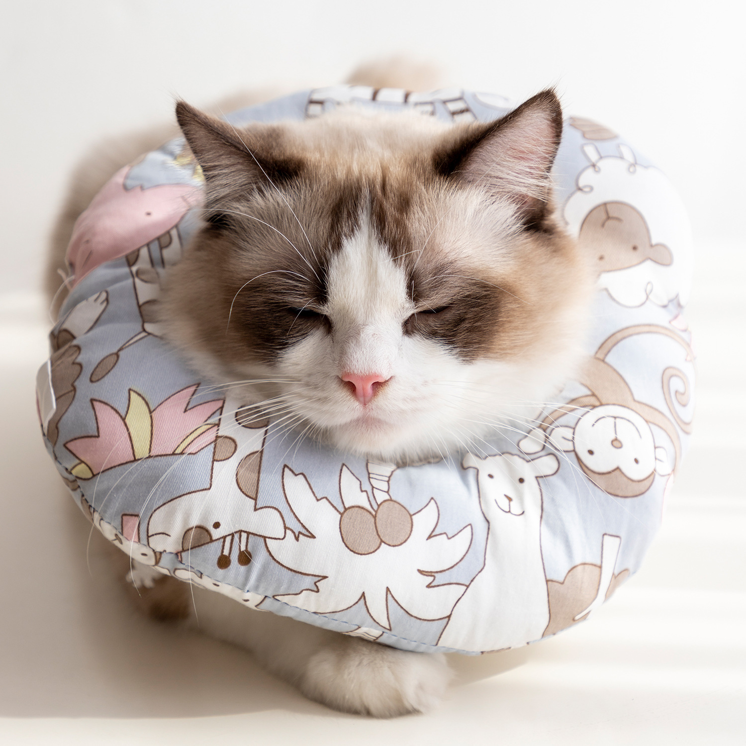 公主狗项圈-公主狗项圈厂家,品牌,图片,热帖-阿里巴巴