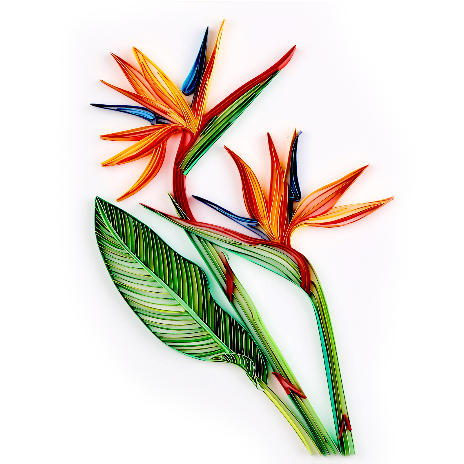 【现货跨境】衍纸画创意手工工艺品10寸天堂鸟