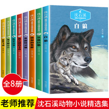 全8册沈石溪动物小说系列儿童文学白狼愤怒的象群雄鹰飞翔跳丛林