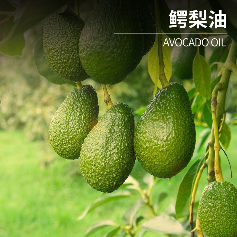 厂家直供鳄梨油现货 牛油果油植物基础油按摩化妆日化原料供应