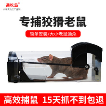 定制踏板式捕鼠器食物诱捕神器无毒灭鼠电猫翻盖 塑料捕鼠笼 爆款
