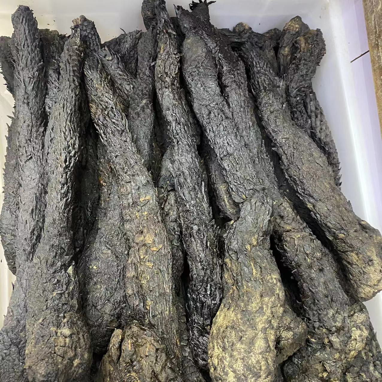 肉苁蓉中药材特大条肉苁蓉大芸油整根软质肉苁蓉切片现货批发