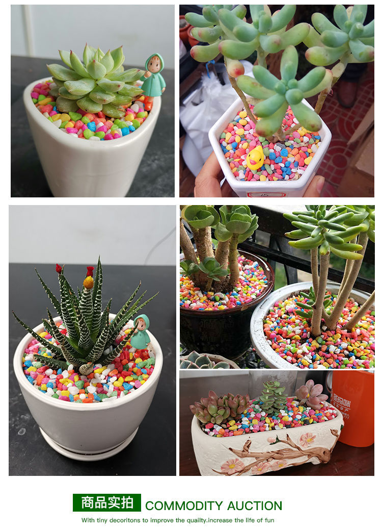 七彩石头彩色小石子多肉铺面石鱼缸造景植物园艺花盆栽装饰小石子