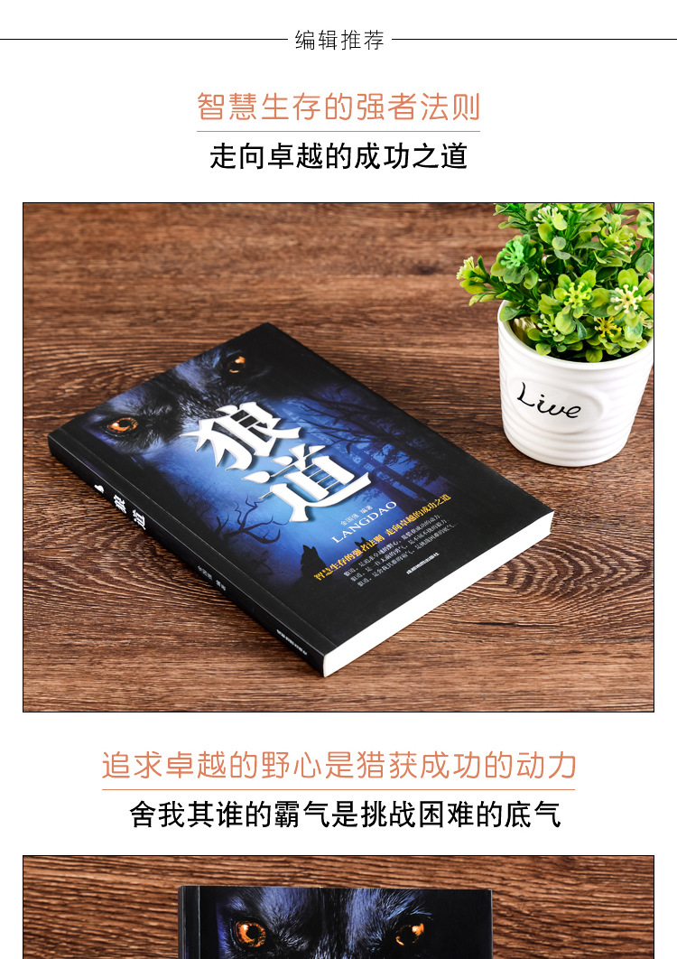 狼道 金国强 智慧生存强者法则成功职场书籍实用人际交往创业团队