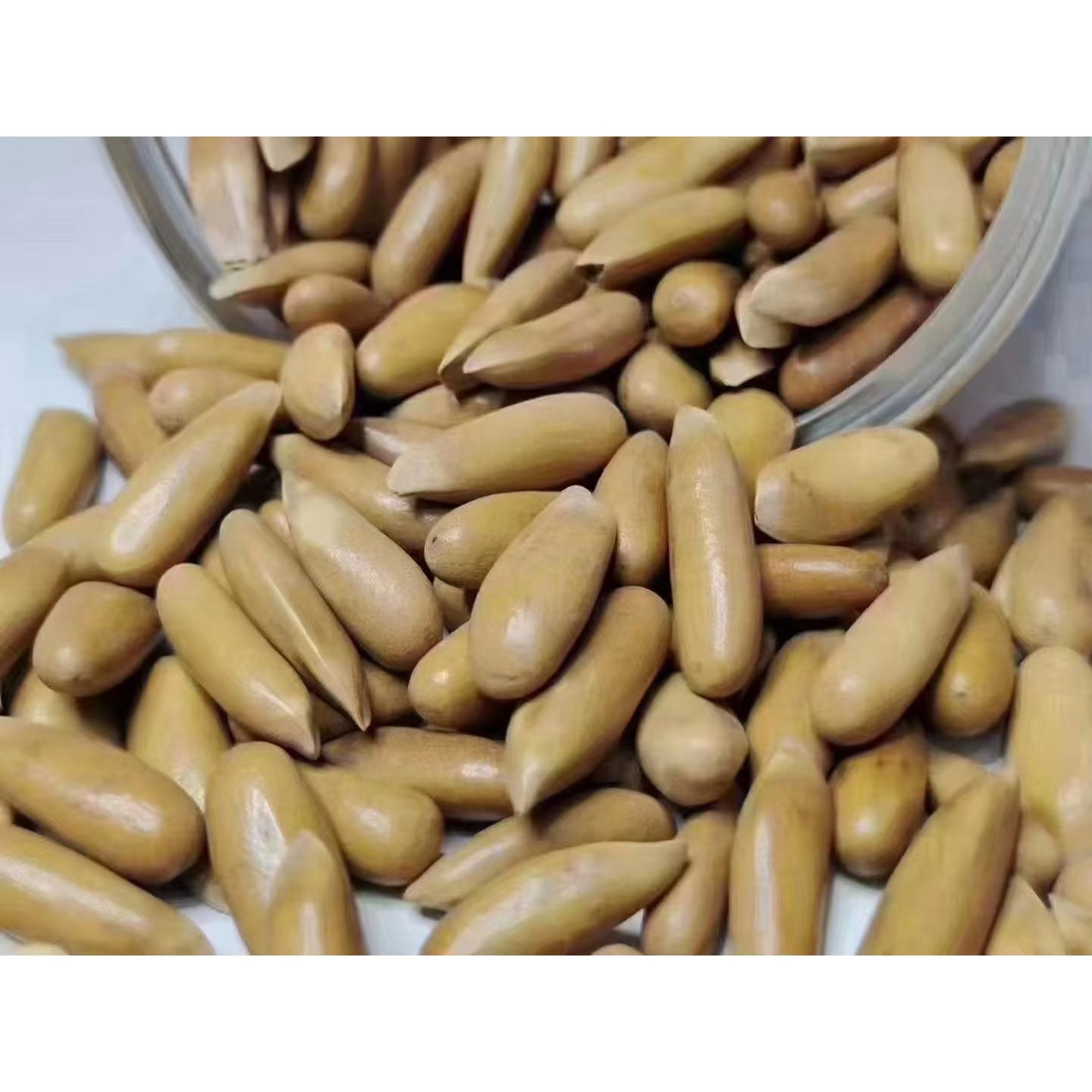 新货大颗粒巴西松子原味手剥松子罐装零售批发-阿里巴巴