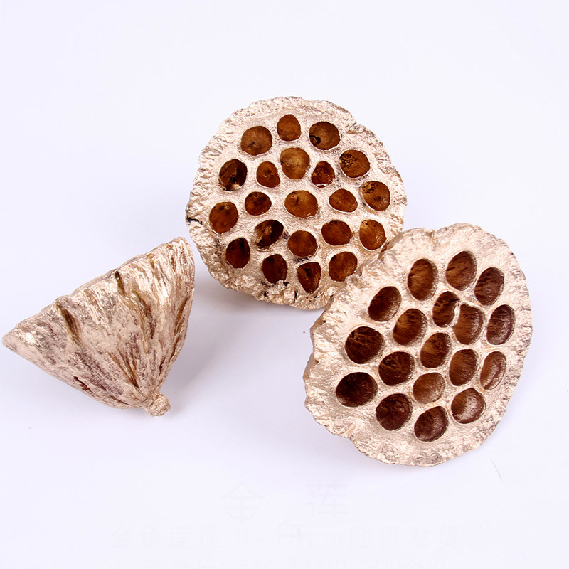 金色莲蓬 仿真无籽莲蓬风干假花福桶年宵花装饰配花插花花艺摆件