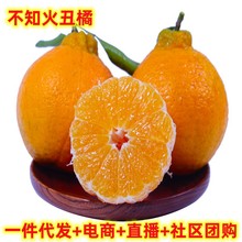 现货四川不知火丑橘当季时令新鲜采摘水果5斤酸甜不知火丑橘柑