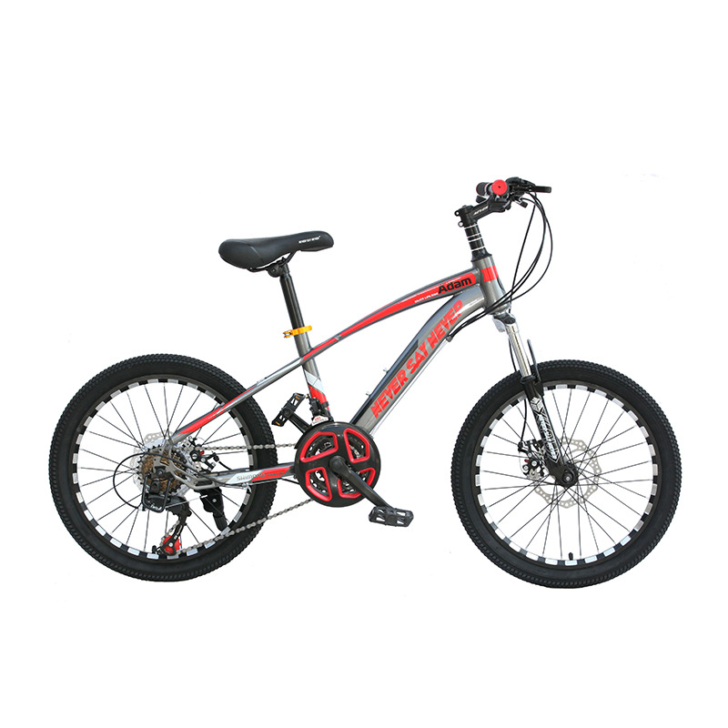 Customized Children's Bicycle 22-Inch Boys and Girls Bicycle Primary School Students Variable Speed Single Speed Mountain Bike off-Road Vehicle